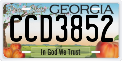 GA license plate CCD3852