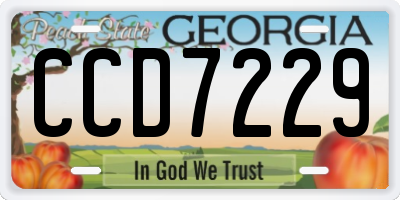 GA license plate CCD7229