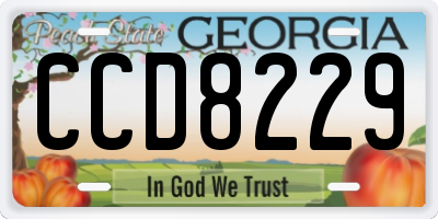 GA license plate CCD8229