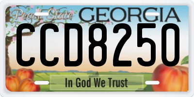 GA license plate CCD8250