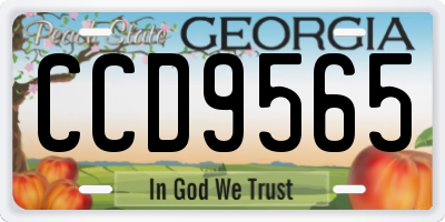 GA license plate CCD9565