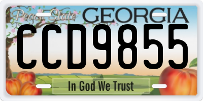 GA license plate CCD9855