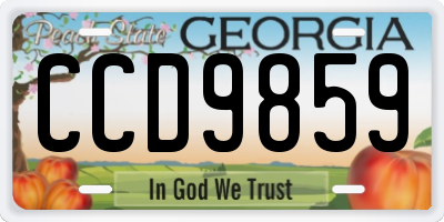 GA license plate CCD9859