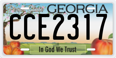 GA license plate CCE2317