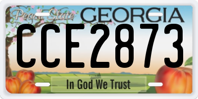 GA license plate CCE2873