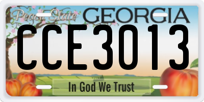 GA license plate CCE3013