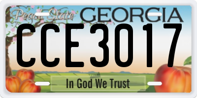 GA license plate CCE3017