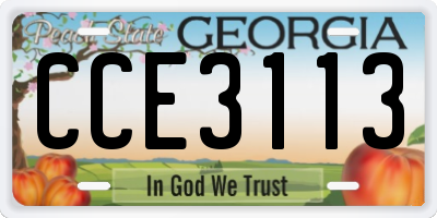 GA license plate CCE3113