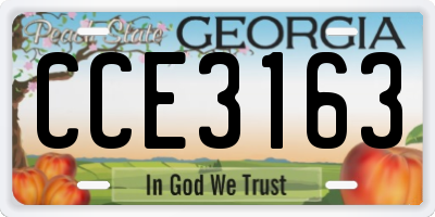 GA license plate CCE3163