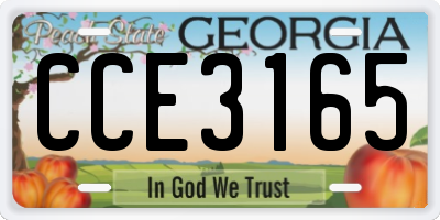 GA license plate CCE3165