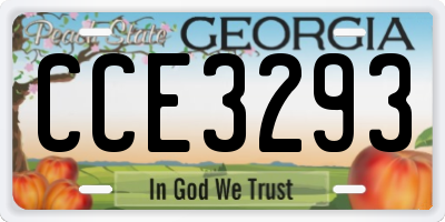 GA license plate CCE3293