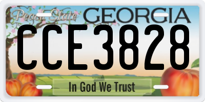 GA license plate CCE3828
