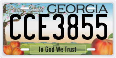 GA license plate CCE3855