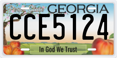 GA license plate CCE5124
