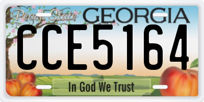 GA license plate CCE5164