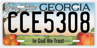 GA license plate CCE5308