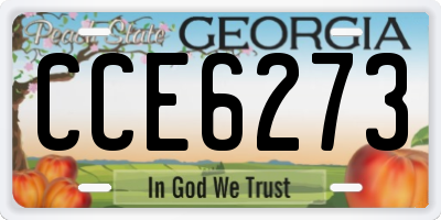 GA license plate CCE6273