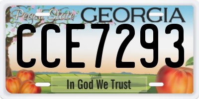 GA license plate CCE7293