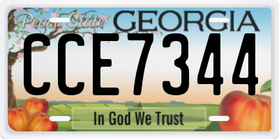 GA license plate CCE7344