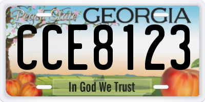 GA license plate CCE8123