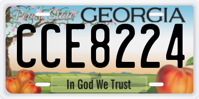 GA license plate CCE8224
