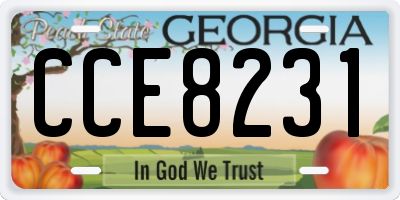 GA license plate CCE8231