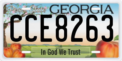 GA license plate CCE8263