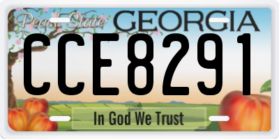 GA license plate CCE8291
