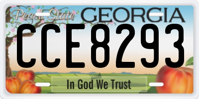 GA license plate CCE8293