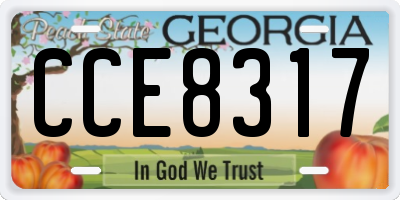 GA license plate CCE8317