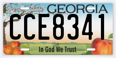 GA license plate CCE8341