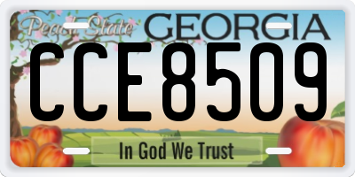 GA license plate CCE8509
