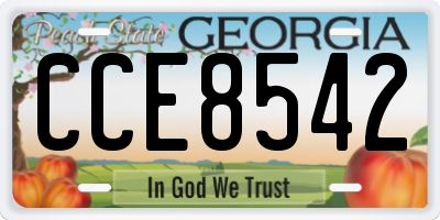 GA license plate CCE8542