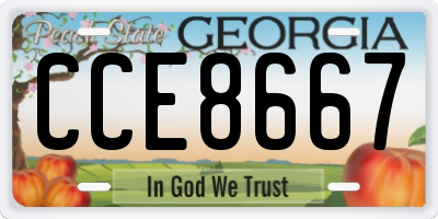 GA license plate CCE8667