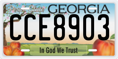 GA license plate CCE8903
