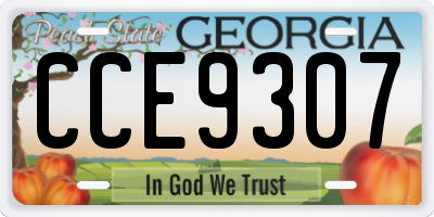 GA license plate CCE9307