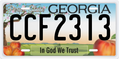 GA license plate CCF2313
