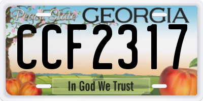 GA license plate CCF2317