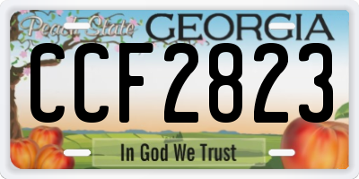 GA license plate CCF2823