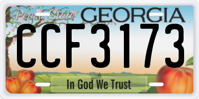 GA license plate CCF3173
