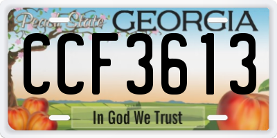 GA license plate CCF3613