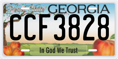 GA license plate CCF3828