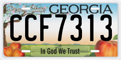 GA license plate CCF7313