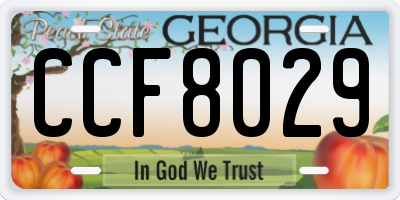 GA license plate CCF8029