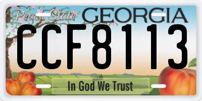 GA license plate CCF8113