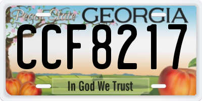 GA license plate CCF8217