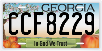GA license plate CCF8229