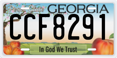 GA license plate CCF8291