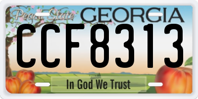 GA license plate CCF8313
