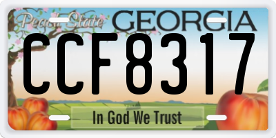 GA license plate CCF8317